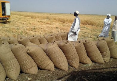 مشروع الجزيرة.. قانون يُصاغ بعيدًا عن أهله (1)