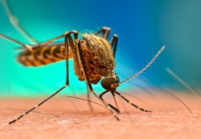 الملاريا والضنك تحصدان الأرواح في الخرطوم ونقص حاد في الأدوية