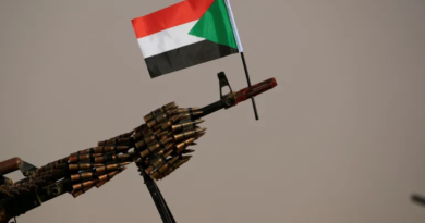 وسط زخات الرصاص.. أصوات السلام تتقدم الصفوف وتتحدى البندقية (1-2)