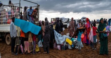 جلسة في الجزائر لتوثيق العنف الجنسي والانتهاكات ضد النساء في السودان