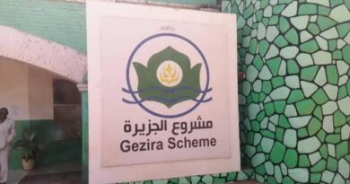 قانون بلا توافق ومحاولة إجازة في صمت من مجلس الإدارة إلى مجلس الوزراء: كيف انتقل الصراع؟ (5)