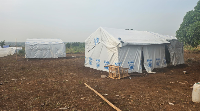 أوغندا: 82% من اللاجئين السودانيين يواجهون تهديدات أمنية ونقص حاد في الغذاء