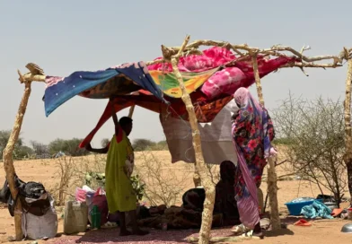 المفقودون في ولاية الجزيرة… جراح الحرب التي لا تُرى (12)