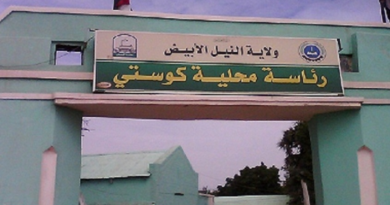 النيل الأبيض: الولاية الحدودية من ممرّ للنجاة إلى مسرحٍ للفقدان (19)